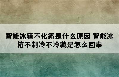 智能冰箱不化霜是什么原因 智能冰箱不制冷不冷藏是怎么回事